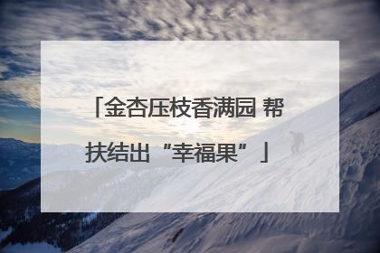 金杏压枝香满园 帮扶结出“幸福果”